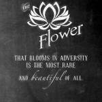 The flower that blooms in adversity is the most rare and beautiful of all
